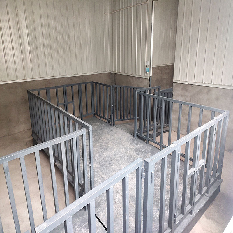 重慶圍欄畜牧秤稱豬秤客戶現(xiàn)場(chǎng)